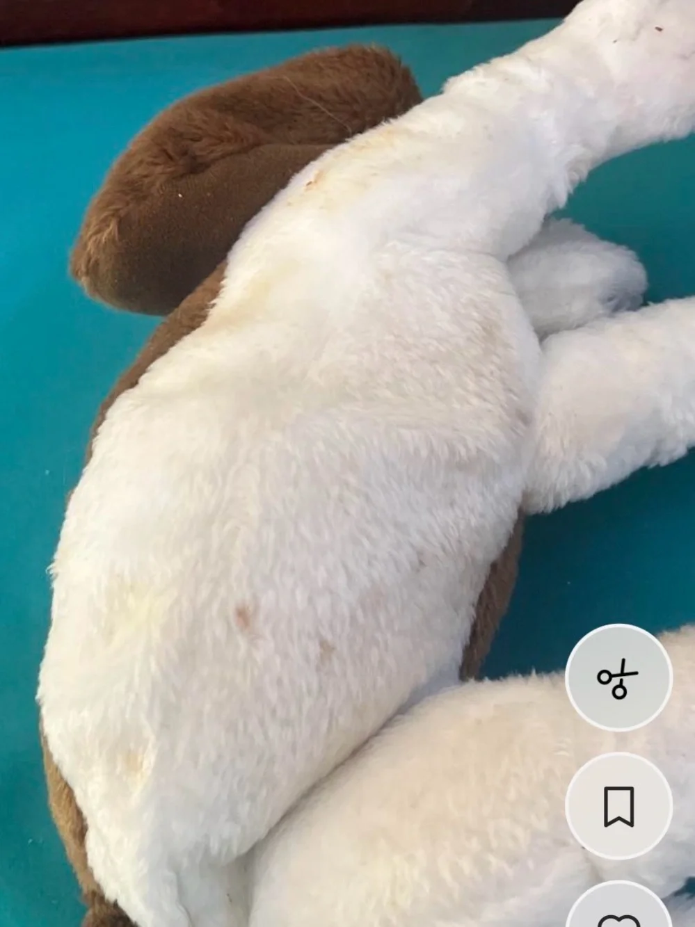 Hush Puppies item shown